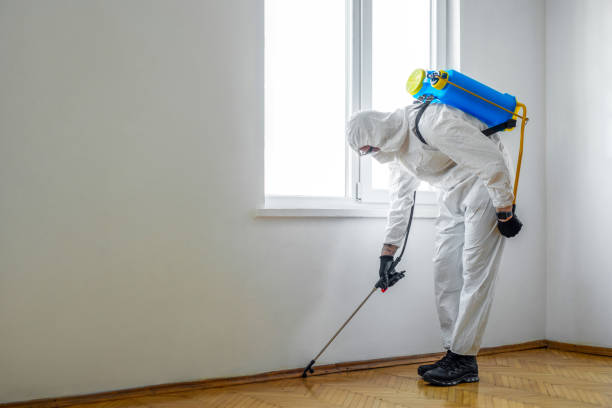 Best Pest Exclusion Services  in Swede Heaven, WA